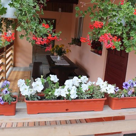 فيلا Casa Andreia جورا هومورولوي المظهر الخارجي الصورة