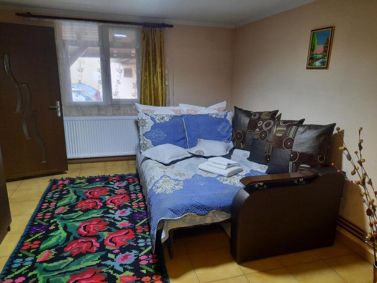 فيلا Casa Andreia جورا هومورولوي المظهر الخارجي الصورة
